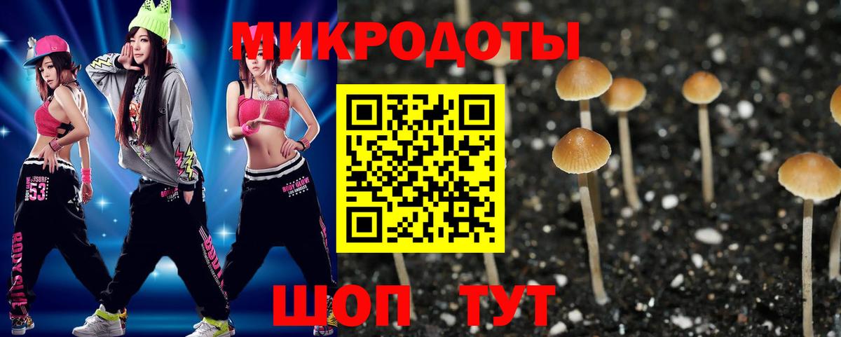 Псилоцибиновые грибы Psilocybine cubensis Мытищи